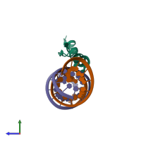 PDB entry 2mkn coloured by chain, side view.