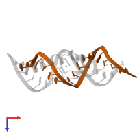 RNA (5'-R(*GP*CP*CP*GP*UP*GP*GP*UP*CP*UP*GP*GP*UP*GP*GP*CP*CP*GP*G)-3') in PDB entry 2mkn, assembly 1, top view.