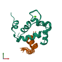 PDB entry 2mkp coloured by chain, ensemble of 10 models, front view.