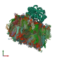 PDB entry 2mlr coloured by chain, ensemble of 14 models, front view.