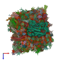 PDB entry 2mlr coloured by chain, ensemble of 14 models, top view.