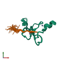 PDB entry 2mnz coloured by chain, ensemble of 20 models, front view.