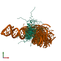 PDB entry 2mqv coloured by chain, ensemble of 10 models, front view.
