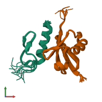 PDB entry 2mur coloured by chain, ensemble of 10 models, front view.