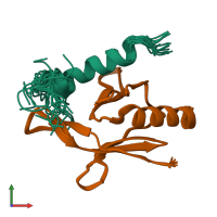 PDB entry 2mwn coloured by chain, ensemble of 20 models, front view.