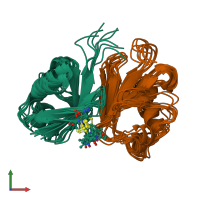 PDB entry 2mws coloured by chain, ensemble of 8 models, front view.