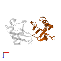 DNA damage-inducible protein 1 in PDB entry 2mws, assembly 1, top view.