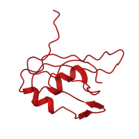 The deposited structure of PDB entry 2my7 contains 1 copy of CATH domain 3.30.70.330 (Alpha-Beta Plaits) in CUGBP Elav-like family member 2. Showing 1 copy in chain A.