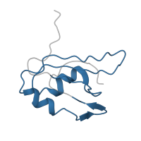 The deposited structure of PDB entry 2my7 contains 1 copy of Pfam domain PF00076 (RNA recognition motif) in CUGBP Elav-like family member 2. Showing 1 copy in chain A.