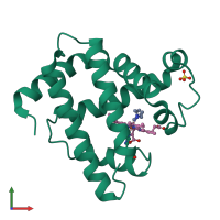PDB entry 2myd coloured by chain, front view.