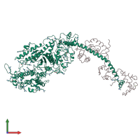 PDB entry 2mys coloured by chain, front view.