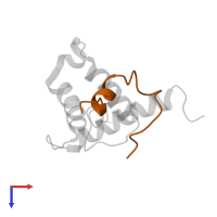 Cellular tumor antigen p53 in PDB entry 2mzd, assembly 1, top view.