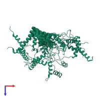 PDB entry 2n11 coloured by chain, ensemble of 20 models, top view.