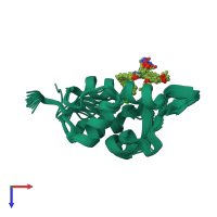 PDB entry 2n14 coloured by chain, ensemble of 20 models, top view.