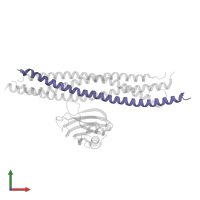 Synaptosomal-associated protein 25 in PDB entry 2n1t, assembly 1, front view.