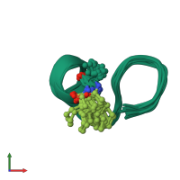 PDB entry 2n63 coloured by chain, ensemble of 20 models, front view.