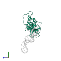 Poly [ADP-ribose] polymerase 1, processed N-terminus in PDB entry 2n8a, assembly 1, side view.