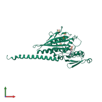 PDB entry 2ncd coloured by chain, front view.