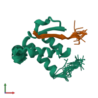 PDB entry 2ncz coloured by chain, ensemble of 20 models, front view.