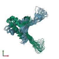 PDB entry 2ndp coloured by chain, ensemble of 15 models, front view.