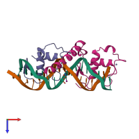 Hetero tetrameric assembly 1 of PDB entry 2nll coloured by chemically distinct molecules, top view.