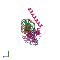 PDB entry 2nll coloured by chain, side view.