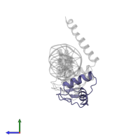 Retinoic acid receptor RXR-alpha in PDB entry 2nll, assembly 1, side view.