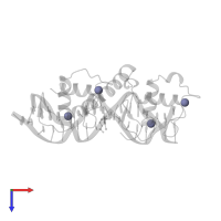 ZINC ION in PDB entry 2nll, assembly 1, top view.