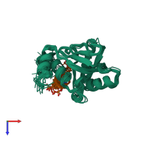 PDB entry 2nmb coloured by chain, ensemble of 14 models, top view.