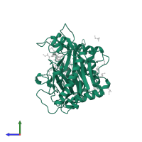 Glycylpeptide N-tetradecanoyltransferase in PDB entry 2nmt, assembly 1, side view.