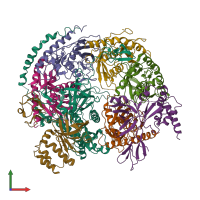 PDB entry 2nn6 coloured by chain, front view.
