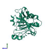 Carbonic anhydrase 1 in PDB entry 2nn7, assembly 1, side view.