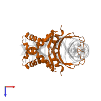 DNA-binding protein HU in PDB entry 2np2, assembly 1, top view.