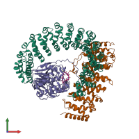 Hetero tetrameric assembly 2 of PDB entry 2npp coloured by chemically distinct molecules, front view.