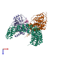Hetero tetrameric assembly 2 of PDB entry 2npp coloured by chemically distinct molecules, top view.