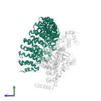 Serine/threonine-protein phosphatase 2A 65 kDa regulatory subunit A alpha isoform in PDB entry 2npp, assembly 1, side view.