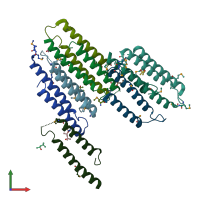 PDB entry 2nr5 coloured by chain, front view.