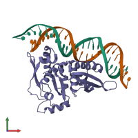 PDB entry 2nra coloured by chain, front view.