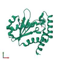 PDB entry 2nrk coloured by chain, front view.