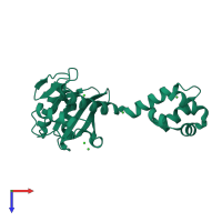 PDB entry 2nrt coloured by chain, top view.