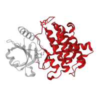 The deposited structure of PDB entry 2nry contains 4 copies of CATH domain 1.10.510.10 (Transferase(Phosphotransferase); domain 1) in Interleukin-1 receptor-associated kinase 4. Showing 1 copy in chain A.