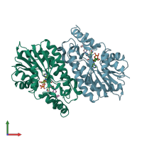 PDB entry 2nsd coloured by chain, front view.