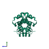 Nucleotide-binding oligomerization domain-containing protein 1 in PDB entry 2nsn, assembly 1, side view.