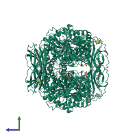 Homo tetrameric assembly 5 of PDB entry 2nsx coloured by chemically distinct molecules, side view.