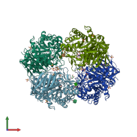 PDB entry 2nt0 coloured by chain, front view.