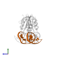 21-nt PEN element of the SV40 DNA origin in PDB entry 2ntc, assembly 1, side view.