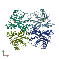 PDB entry 2ntk coloured by chain, front view.