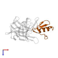 Ovomucoid in PDB entry 2nu0, assembly 1, top view.