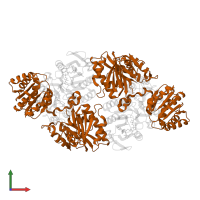 Succinate--CoA ligase [ADP-forming] subunit beta in PDB entry 2nu9, assembly 1, front view.