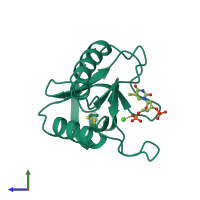 PDB entry 2nuc coloured by chain, side view.